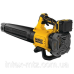 Повітродувка акумуляторна DeWALT DCMBL562P1