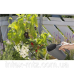 Комплект інструментів з ковшем Gardena 8966-32