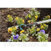 Культиватор Gardena Combisystem 3,6 см
