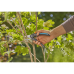 Секатор Gardena PremiumCut fresh wood 22 мм