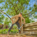 Сучкоріз Gardena EasyCut L 45 мм