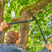 Сучкоріз Gardena EnergyCut Pro L із ковадлом 50 мм